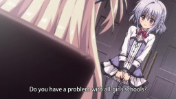 Otome Domain The Animation